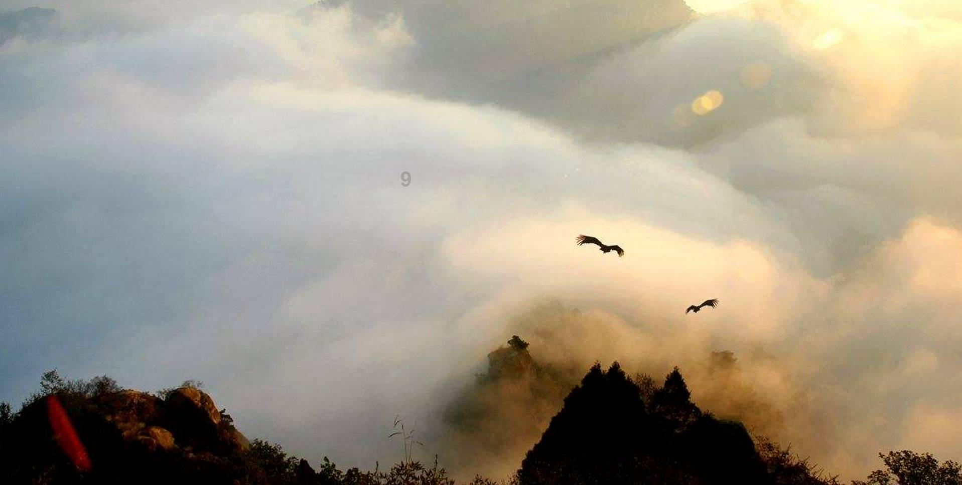 雨天旅行